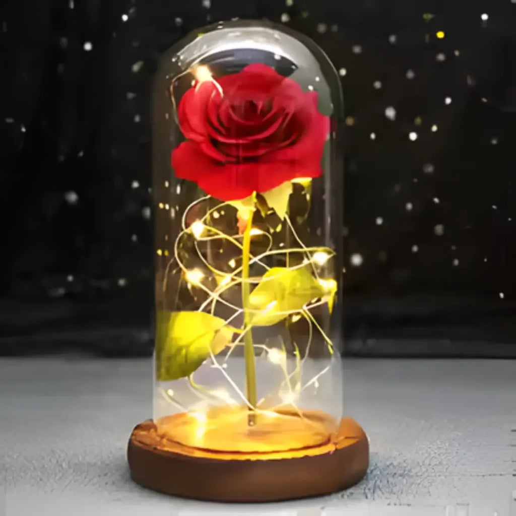 Rosa Encantada Iluminada com Cúpula
